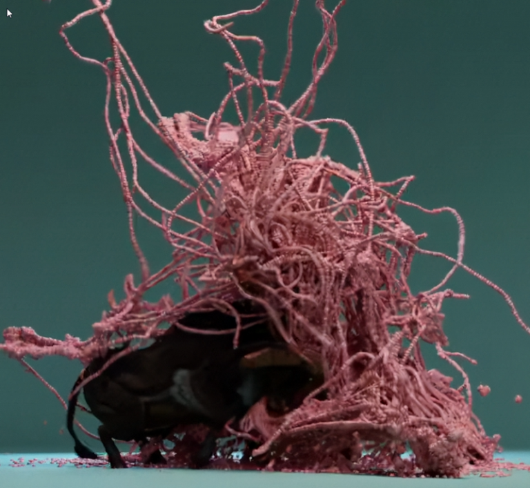 Vellum grains and evolving new constraints